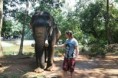 /album/fotogaleria-goa/photos1c245-746-photoredukto-jpg/
